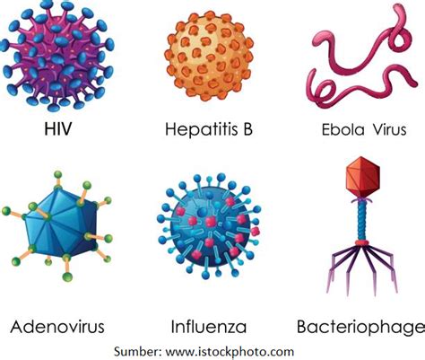 Materi Biologi Virus Kelas 10 Mia Belajar Pintar