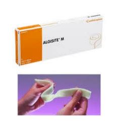 Box of AlgiSite M 4x4 Inch Alginate Wound Dressing 59480200- Box/10