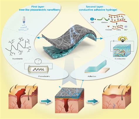 前沿速递丨新思路会发电的水凝胶敷料 水凝胶 敷料 伤口 电刺激 健康界
