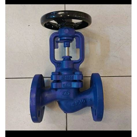 Jual Globe Valve Spirax Sarco 2 Inch PN16 DN25 High Quality Shopee