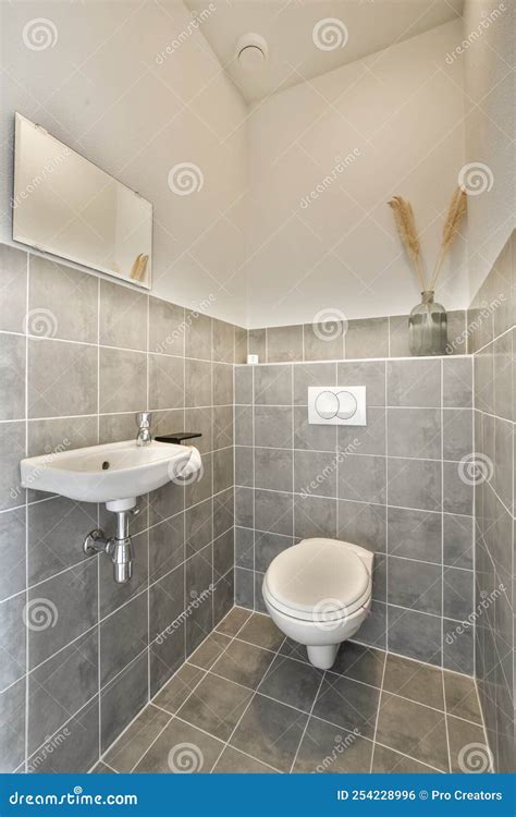 Modern Bathroom with Toilet and Sink Stock Photo - Image of room, light: 254228996