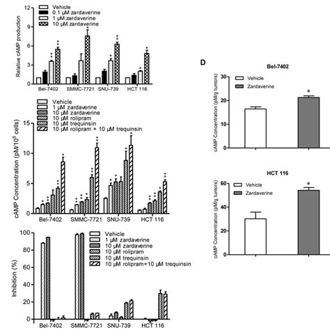 Antitumor Activity Of Zardaverine In Vitro Download Table