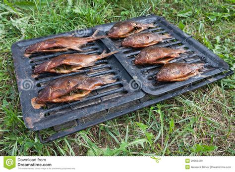 Homemade Smoked Fish Stock Image Image Of Kipper Picnic 29363439