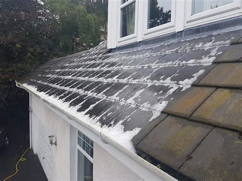 Roof Cleaning Glasgow Roof Moss Removal Glasgow Roof Biocide