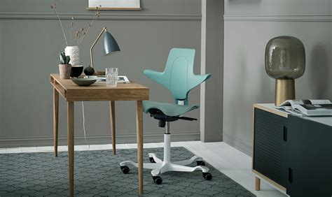 Posturite Ergonomic Home Office Furniture Equipment