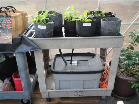 Alpha Hydroponics & Garden Supply, Inc.: DIY Flood and Drain ...