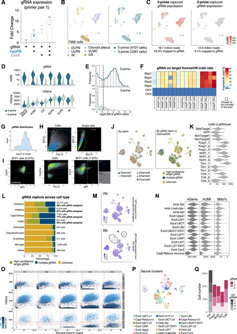 Massively Parallel In Vivo Perturb Seq Reveals Cell Type Specific