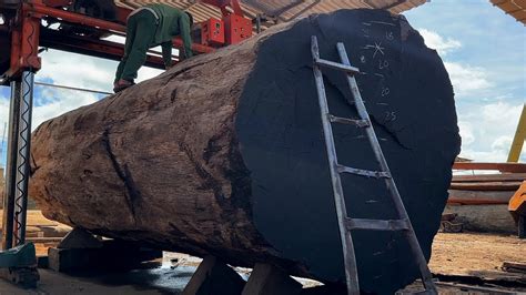 Wood Cutting Skills Ironwood Trees Have Super Beautiful Grain YouTube