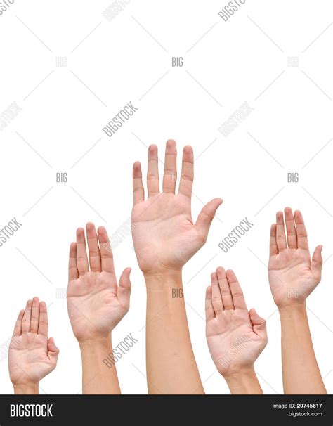 Many Hands Raise High Image Photo Free Trial Bigstock