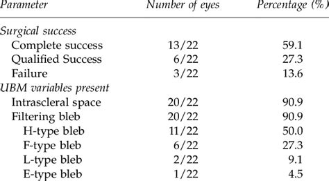 Frequencies Of Surgical Success Presence Of Intrascleral Space And