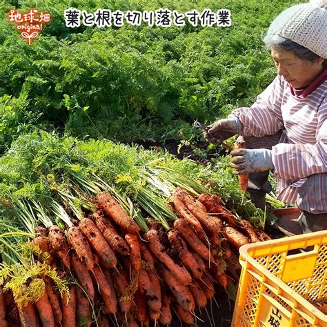 人参 2lサイズ 9kg 化学肥料・農薬不使用 冷蔵便 鹿児島県産 宮崎県産 1本300〜600g 洗い にんじん ニンジン Organic