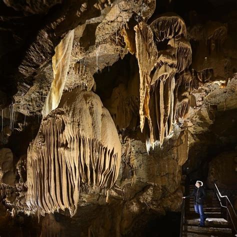 Exposition Suivez Le Guide Dans Cette Grotte Vivante Joyau Des