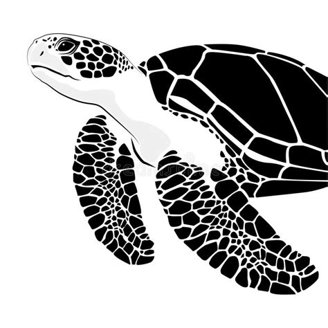 Graphic Sea Turtle Vector Illustration Of Sea Turtle Design On A