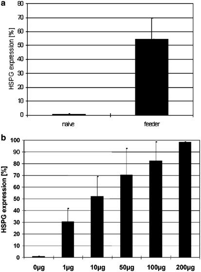 Expression Of Membrane Bound Hspg The Primary Receptor For Aav On