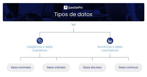 Tipos De Datos En Estad Stica Tiposde