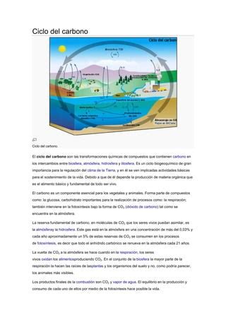 Ciclo Del Carbono Pdf Descarga Gratuita