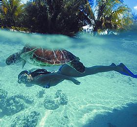 Islandstays Island Holidays Diving Seychelles