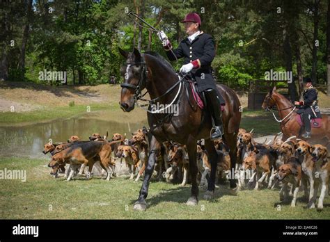 Fontainebleau Frankreich 2022 Mai Demonstration Der Jagd Mit