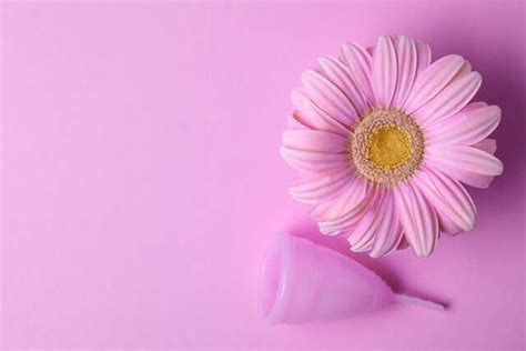 Things You Didnt Know About Period Sex Femina In