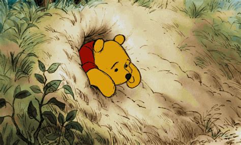 Ewan Mcgregor To Star In Disney S Live Action Winnie The Pooh