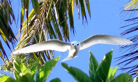 Motu Teta Private Island - Rangiroa, French Polynesia | Tahiti.com