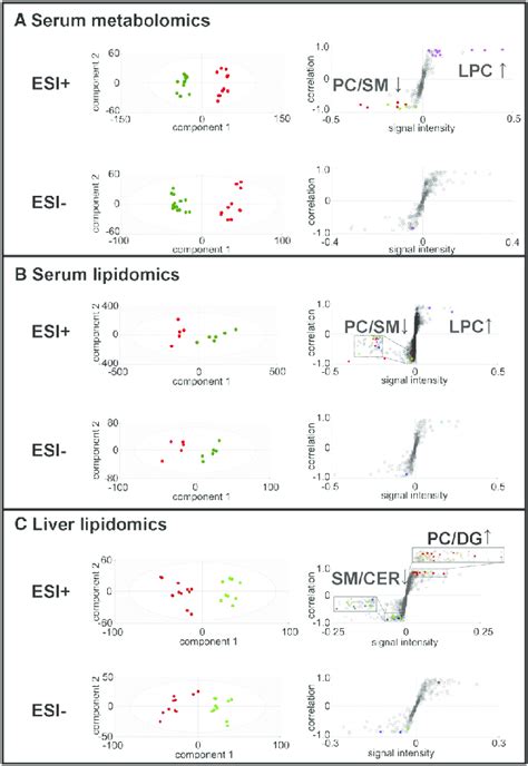 Metabolomic And Lipidomic Analysis Of Serum And Liver Extracts In Hint