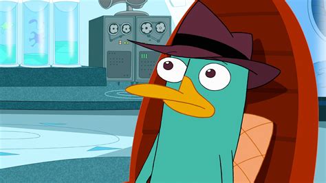 Image 322a Confused Perry Phineas And Ferb Wiki Fandom