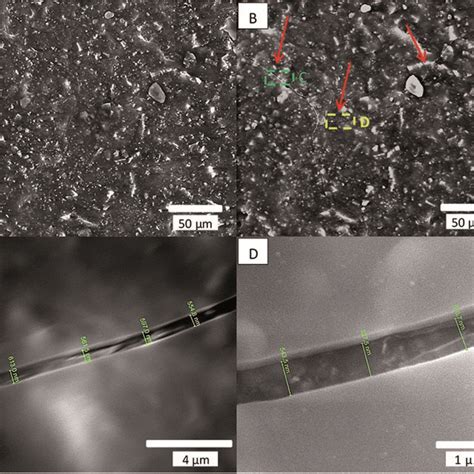 SEM Secondary Electron Micrograph Of The Surface Of A Paint Sample