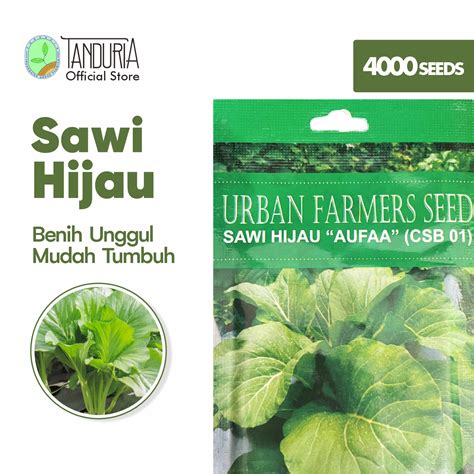 Tanduria Benih Sayur Sawi Hijau By Urban Farmers Seed Bibit Biji