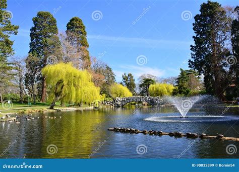 Beacon Hill Park In Victoria Bccanada Editorial Stock Image Image Of