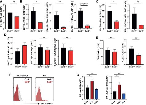 Frontiers Ccr8 Signaling Via Ccl1 Regulates Responses Of Intestinal