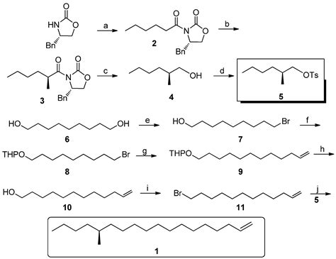 Molecules Free Full Text A Facile Asymmetric Synthesis Of S 14