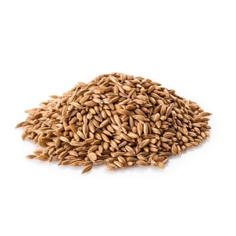 Premium AI Image Rye Groats Isolated On White Background Side View