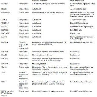 Trogocytosis and Phagocytosis of Amebiasis (11) | Download Scientific ...