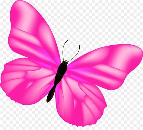 Borboleta Rosa Pink Png Simple PNG 46 OFF