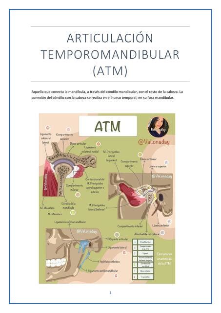 Articulación Temporomandibular ATM Inés Cobos Ramos uDocz