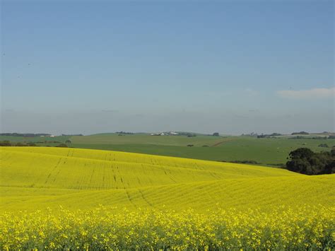 Kostenlose foto Natur Horizont Feld Wiese Prärie Hügel Blume