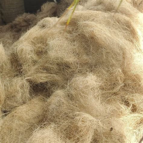 White Loose Coir Fibre For Mattress Grade Recycled At Rs 12 Kg In