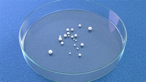 'We can't answer these questions': Neuroscientist Kenneth Kosik on ...