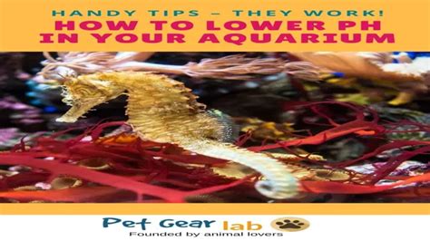 How To Lower Ph In Aquarium With Vinegar Freshwater Expert Guide