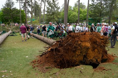 Trees fall near 17th Tee Box at 2023 Masters Tournament - TrendRadars