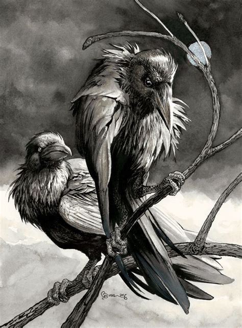 Hugin et Munin Tout Savoir sur les Corbeaux d Odin Médiéfan Crow