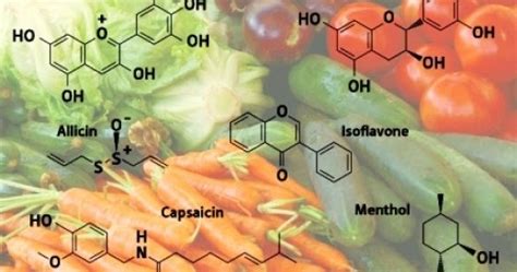 Examples Of Secondary Metabolites In Plants ExamplesOf Net