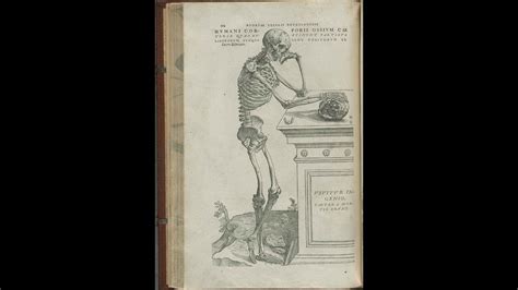 Andreas Vesalius The Father Of Modern Human Anatomy Youtube