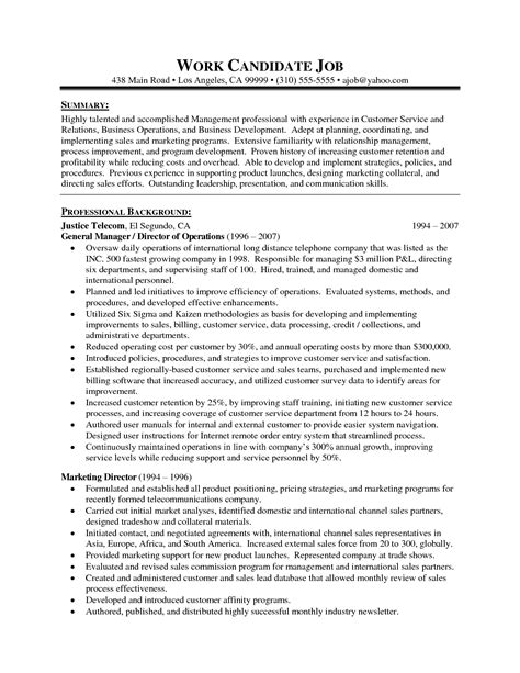 20 Professional Summary Resume Examples Customer Service That You