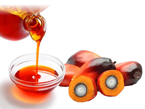 The Benefits Of Red Palm Oil Shades Of Afrika Online