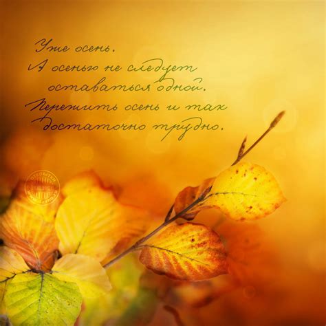 Открытка про осень с цитатой - Скачайте на Davno.ru