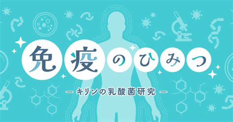 食事で免疫力を高めるには｜免疫力を正常に保つには？｜免疫のひみつ キリンの乳酸菌研究