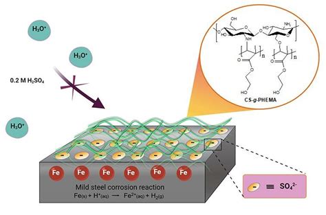 Schematic Illustration Of Corrosion Inhibition By Cs G Phema Download