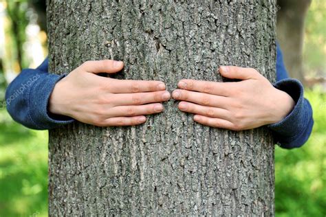 Female Hands Hugging Tree Stock Photo Belchonock 114906566